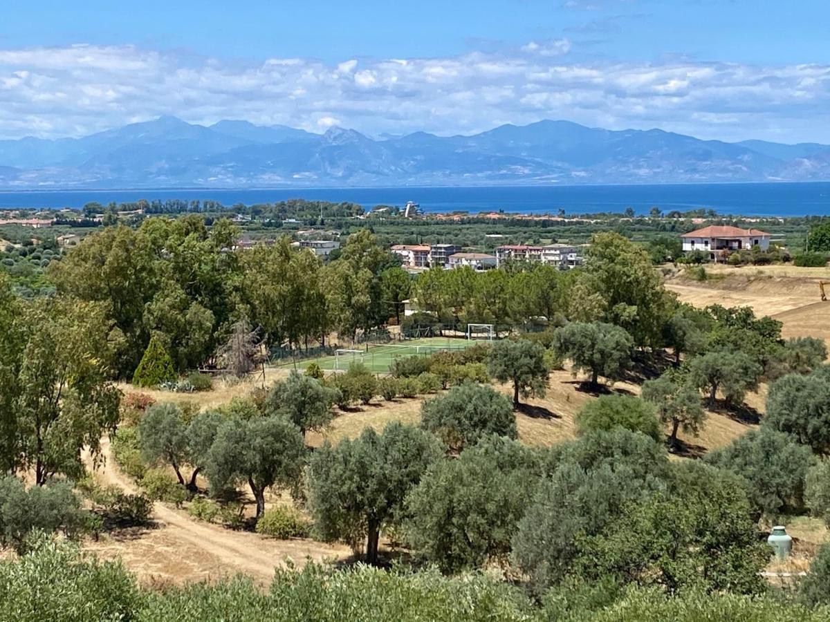 ロッサーノ Le Colline Del Gelso-Masseria Mazzeiゲストハウス エクステリア 写真